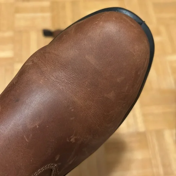 Terra - Picture 7 of 16